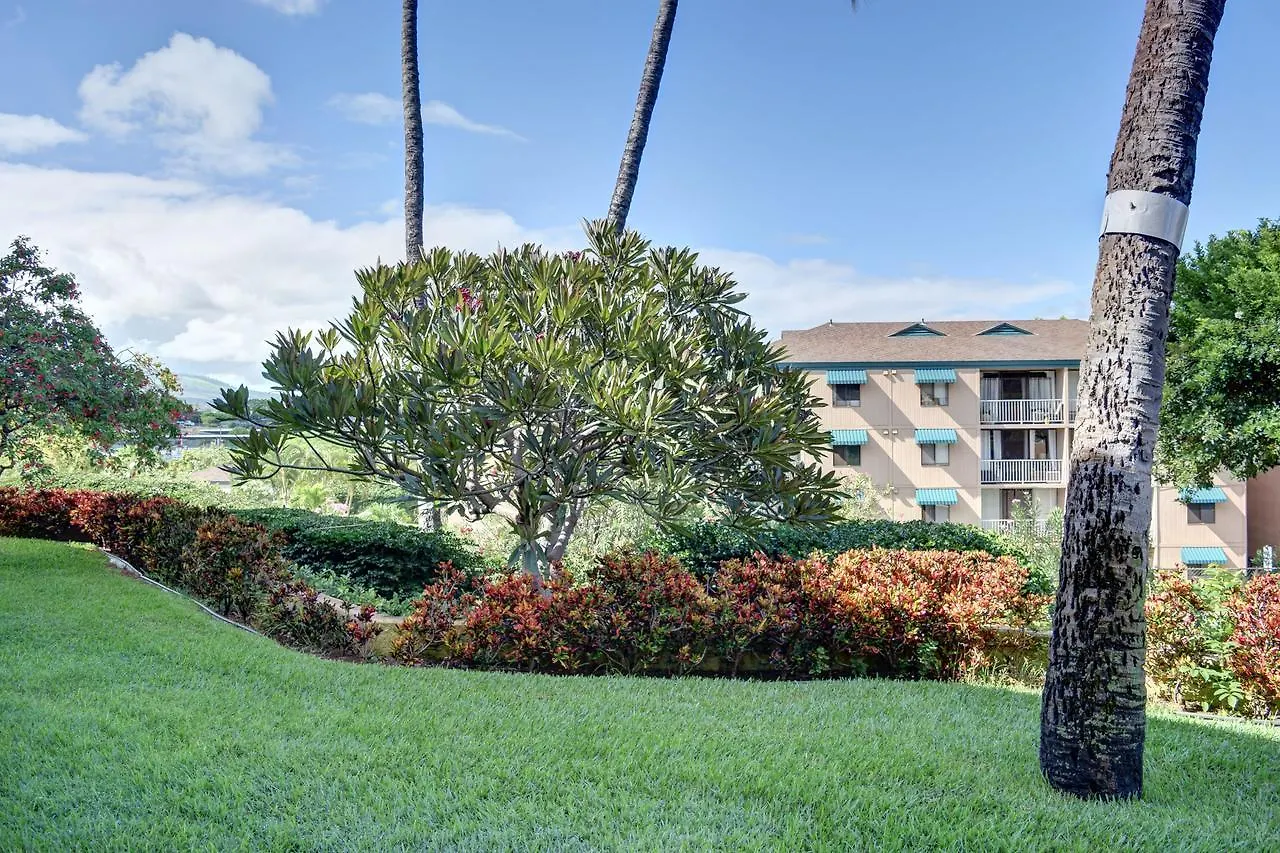 Maui Vista 3105 Apartment Kihei 0*,  United States