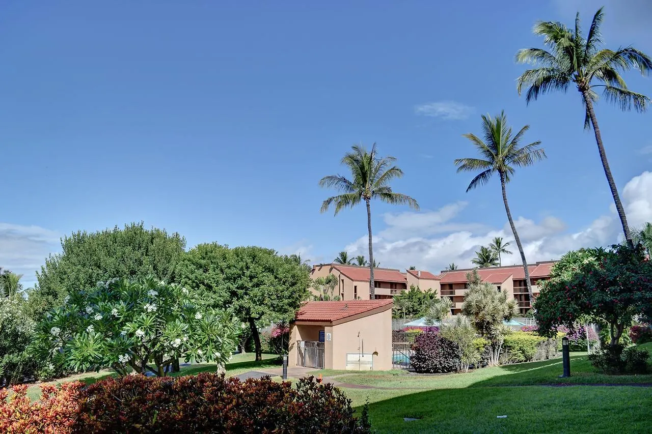 Maui Vista 3105 Apartment Kihei